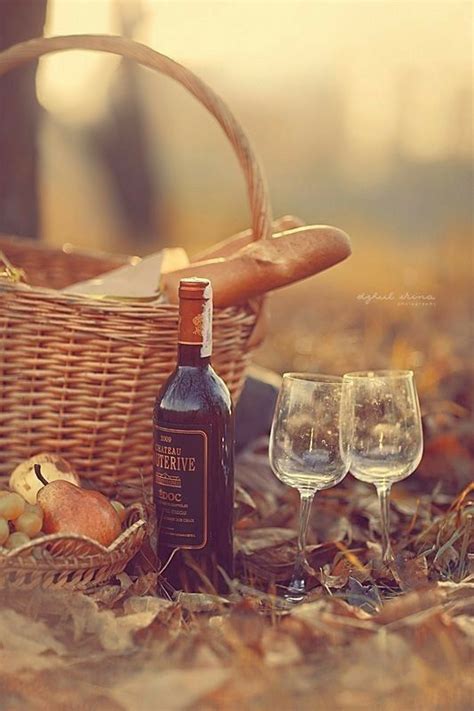 Pin by Niken Bellani Priutami Gani on photography | Picnic, Wine ...