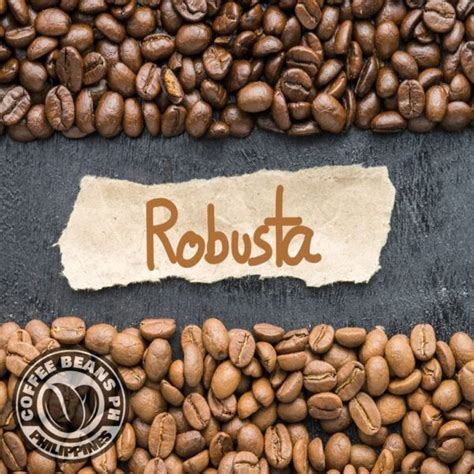 Wholesale Robusta Beans or Ground Coffee - Coffee Beans PH | Home of ...