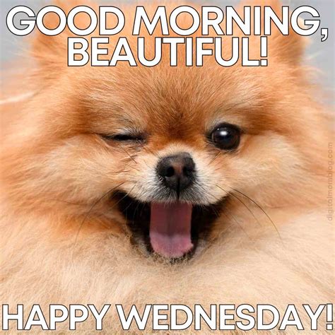 Wednesday - Planet Today
