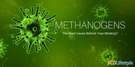 Methanogens: The Bloating Root Cause You Haven't Heard of (and a New ...