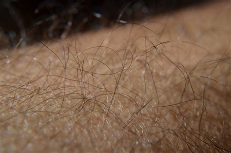 Hair Skin Glamour - Free photo on Pixabay - Pixabay
