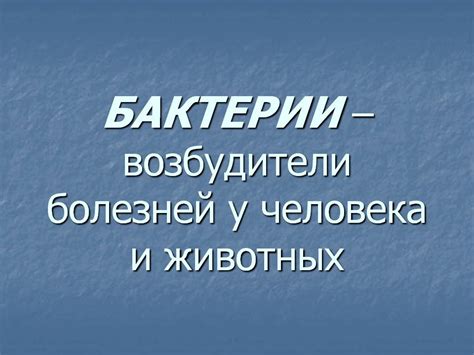 Патогенные бактерии - Презентации по биологии