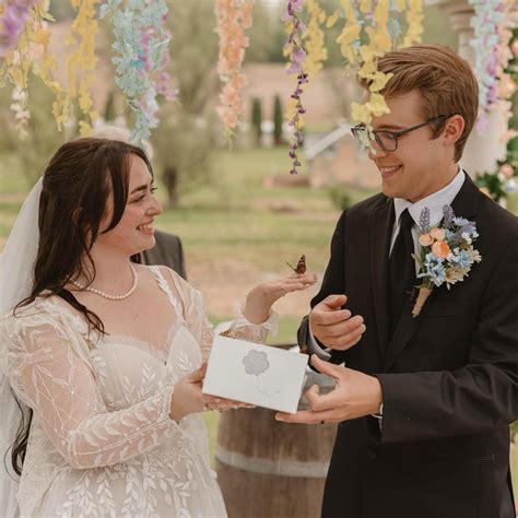 Butterfly Wedding Package #2 - 36 painted lady butterflies (Individual