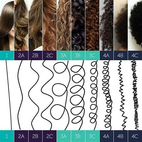 Formatos De Cabelo