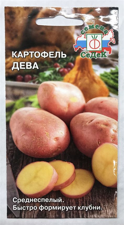 Картофель Семена СеДек Картофель - купить по выгодным ценам в интернет ...