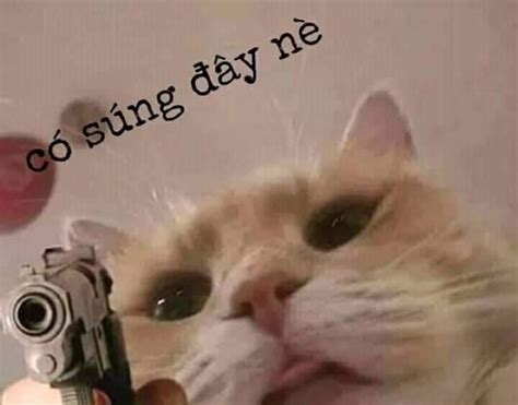 100+ meme dỗi đáng yêu, hài hước cười không ngậm được mồm