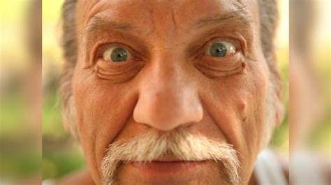 pointed  shape   nose    lot