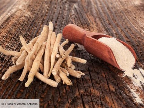 Ashwagandha Bienfaits - Relaxation Store