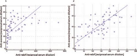 Correlation between anti-Rebif antibodies and anti-Avonex antibodies ...