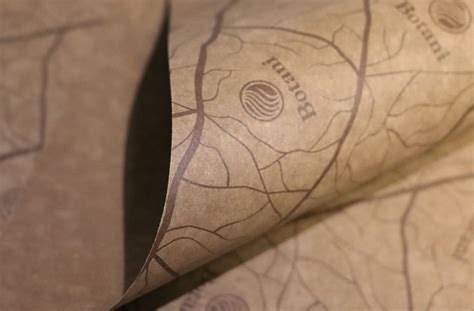 Rolling Papers | SWM