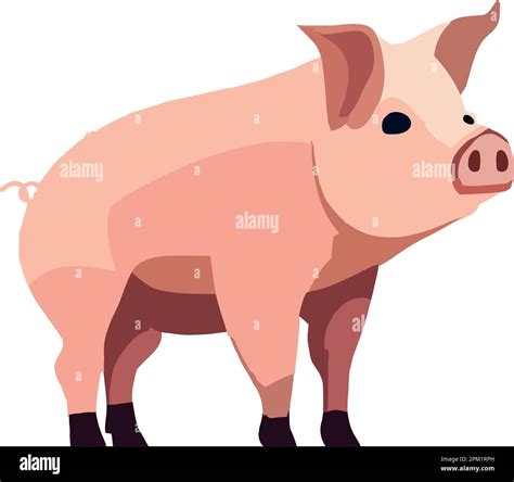 flat pig image Stock Vector Image & Art - Alamy