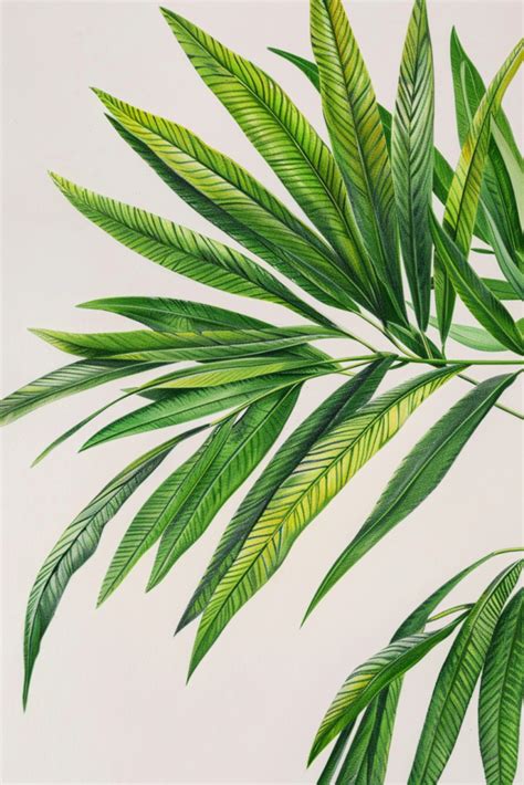 Simple Colored Pencil Art | 34 Easy Ideas for Beginners - Proactive ...