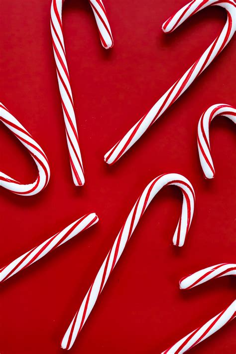 ГДЕ ВСТРЕТИТЬ НОВЫЙ ГОД | クリスマス, 撮影, フリー