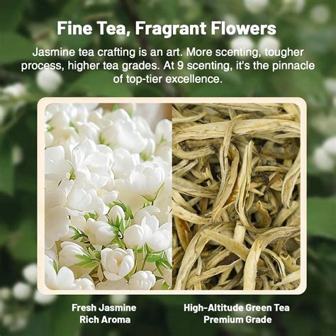 Chinese Jasmine Tea Sampler | 4 Jasmine Loose Leaf Tea - iTeaworld