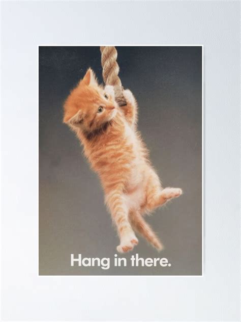 "Cat Hang in There." Poster for Sale by tertopglond | Redbubble