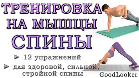Топ-12 упражнений для мышц спины в домашних условиях