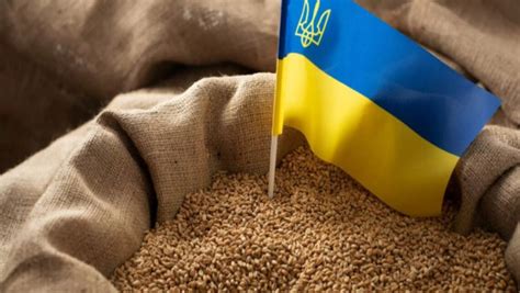 Разследване в Полша: Ядем хляб от над 100 тона украинска пшеница ...