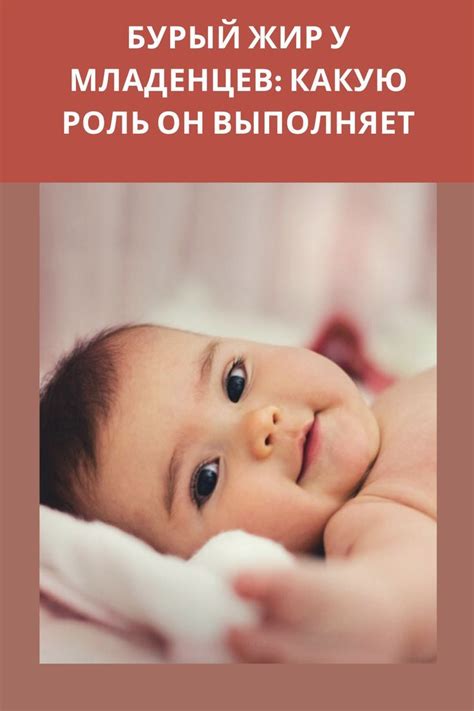 Бурый жир у младенцев: какую роль он выполняет | Baby talk ...