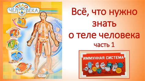 Всё, что нужно знать о теле человека Часть 1 Иммунная система - YouTube