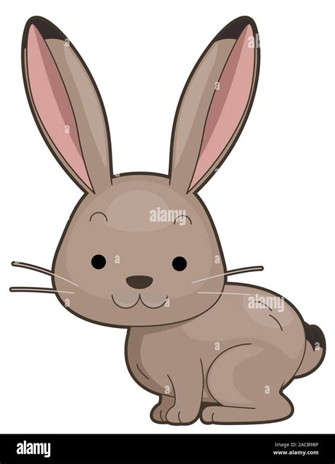 Jackrabbit Animation