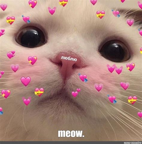 Мем: "meow." - Все шаблоны - Meme-arsenal.com