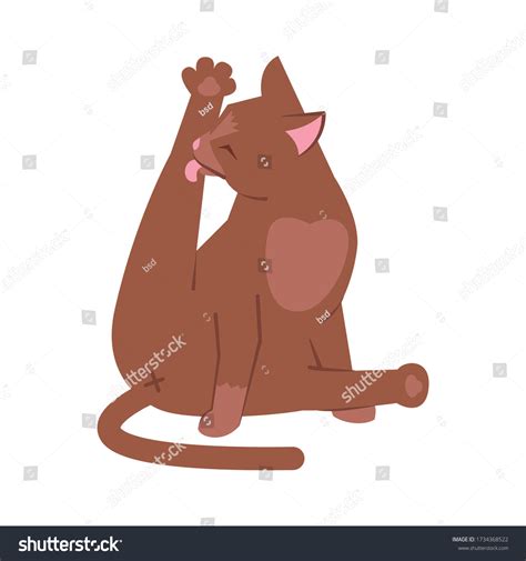 41 Cat Cleaning Itself Royalty-Free Images, Stock Photos & Pictures