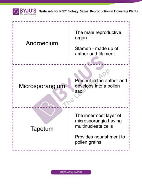Sexual Reproduction in Flowering Plants - Flashcards for NEET Biology
