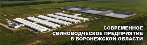 Агроэко — производитель и поставщик свинины и комбикорма в Воронеже