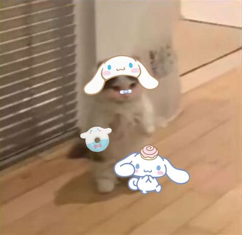 cinnamoroll cat   kitty images sanrio  kitty