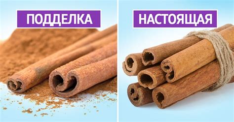 Кассия и корица: как отличить пряность от фальшивки