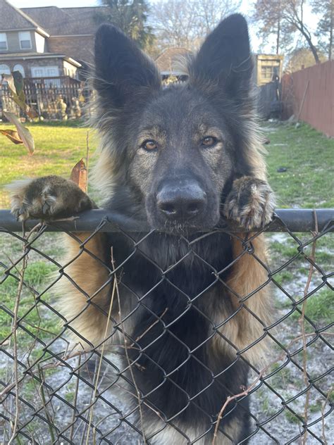 744 best Nadia images on Pholder | The Arcana, Genshin Impact and Nadiag537