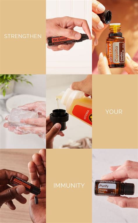 Strengthen Your Immune System With doTERRA | Doterra, Doterra essential ...