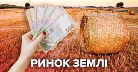 Цена земли в Украине будет повышаться ежегодно — рынок земли в Украине