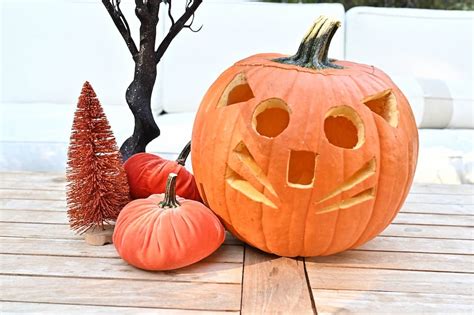 Cat Pumpkin Carving Patterns