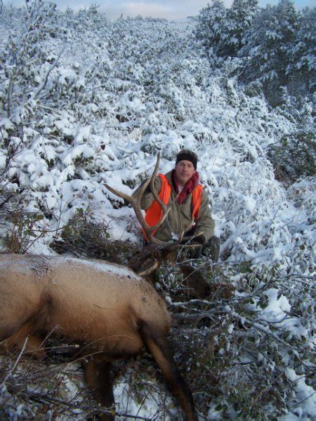 Rocky Mountain Hunting: General Season Elk Hunt | Rocky Mountain Hunting