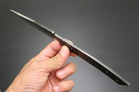 Kanetusne Seki "Ayu"