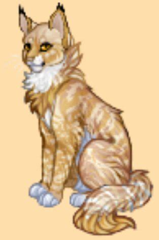 Я родился! | Wiki | Catwar (Вар) Amino