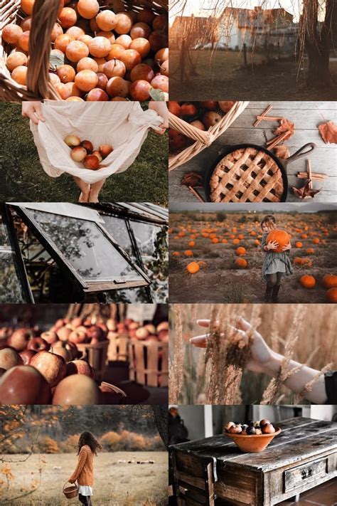 themoonmysteries: “ skcgsra: “the harvest aesthetic ” fall,aesthetics ...