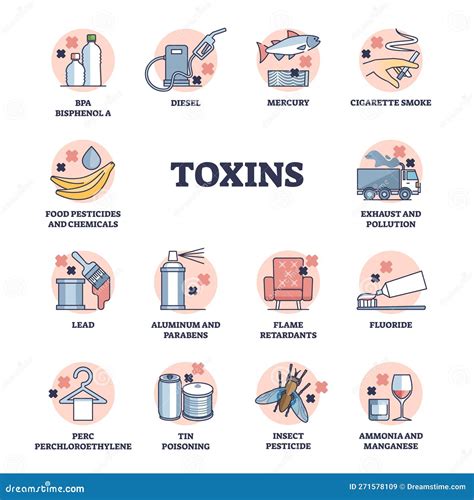 Diagrama De Esquemas De Toxinas Y Sustancias Químicas Peligrosas Para