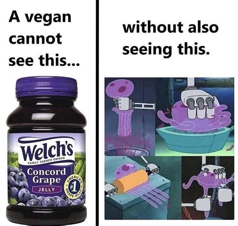 The best Jelly memes :) Memedroid