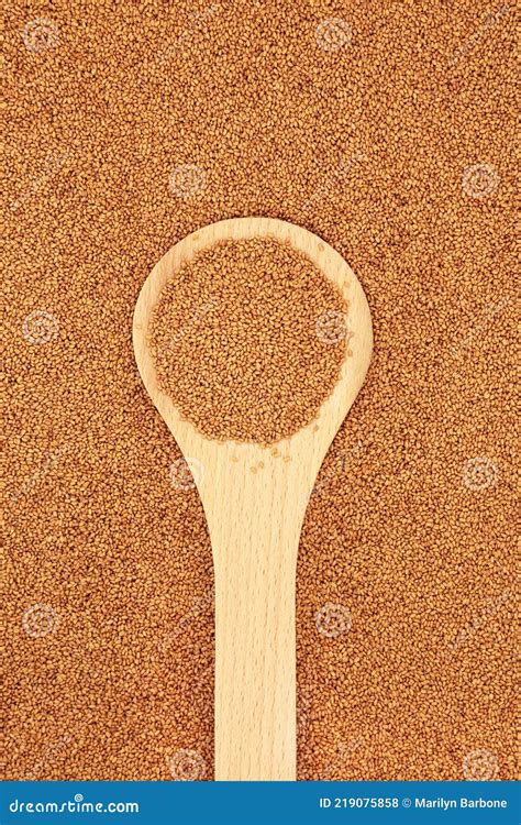 Camelina Seed Highly Nutritious Health Food Stock Photo - Image of ...