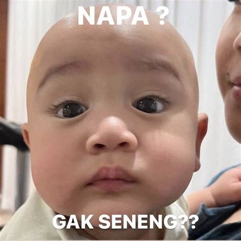 Meme cipung | Humor lucu, Meme lucu, Tweet lucu