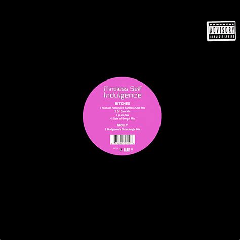 Mindless Self Indulgence – Bitches / Molly (2000, Vinyl) - Discogs