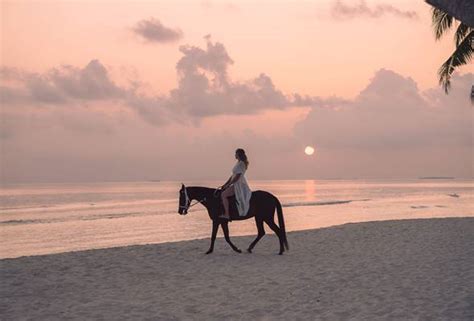 Siyam World Maldives - Travel Wonders