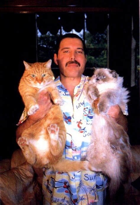 Freddie Mercury's cats - Freddie Mercury & Queen