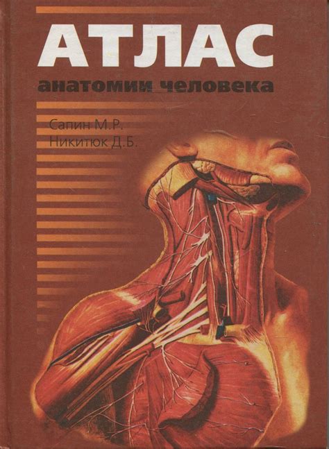 Картинки Анатомия человека атлас (29 шт.) - #1860