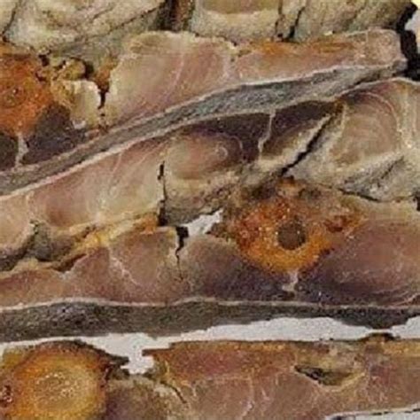 myproductlk katta dry fish