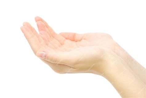 premium photo hand