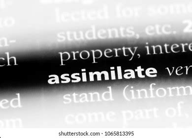 Assimilation Images, Stock Photos & Vectors | Shutterstock