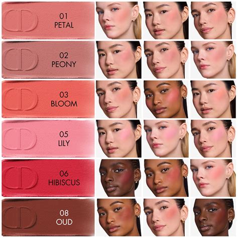 dior  blush soft filter acabamento matte luminoso dior sephora